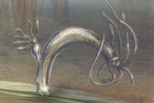 Кракен ссылка тор