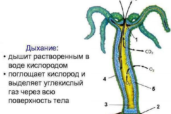 Кракен настоящий сайт