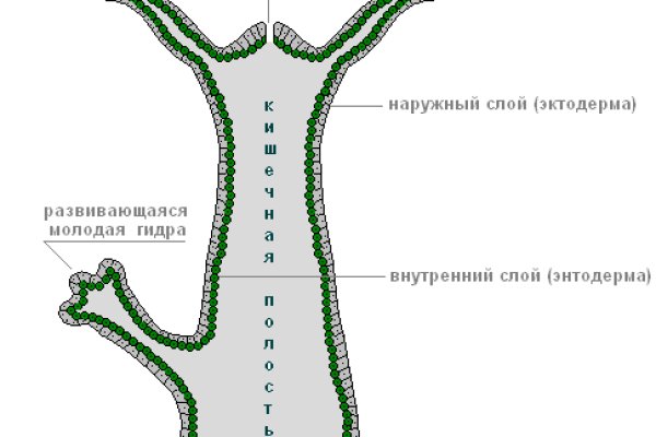 Что с кракеном сайт