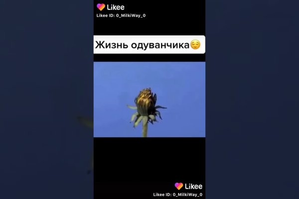 Как вывести деньги с кракена