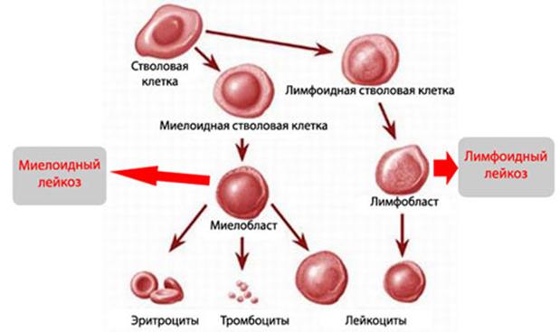 Почему не получается зайти на кракен