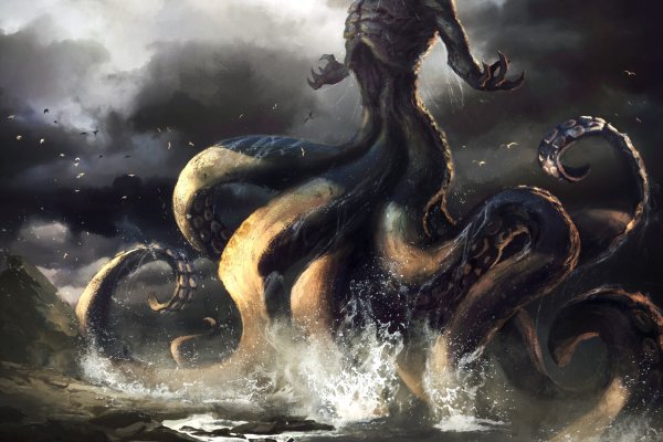 Kraken 20at net